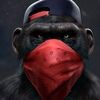 tekkk5